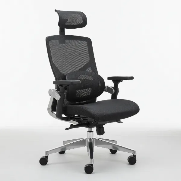 H1 Title: Sihoo Doro C300 Review: Is This Ergonomic Chair an Innovation in Comfort and Support?